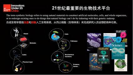 倪俊:合成生物学已被认为是21世纪最重要的生物技术平台